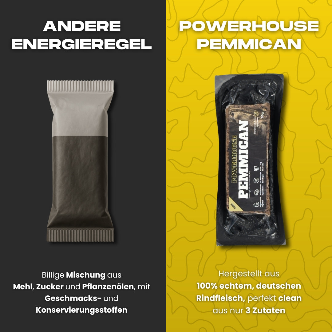 Powerhouse Pemmican - STARTER PACK